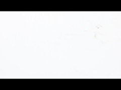 NEMA 23 Панельный шаговый двигатель с ультратонкой высокой рабочей силой.